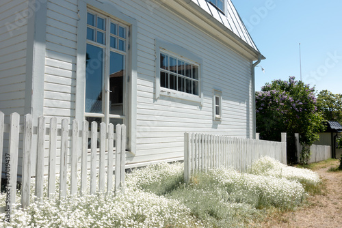 Idyllic white house with picket fence and small white flowers in front garden by entrance glass door with bright blue sky with peaceful rural small town feeling