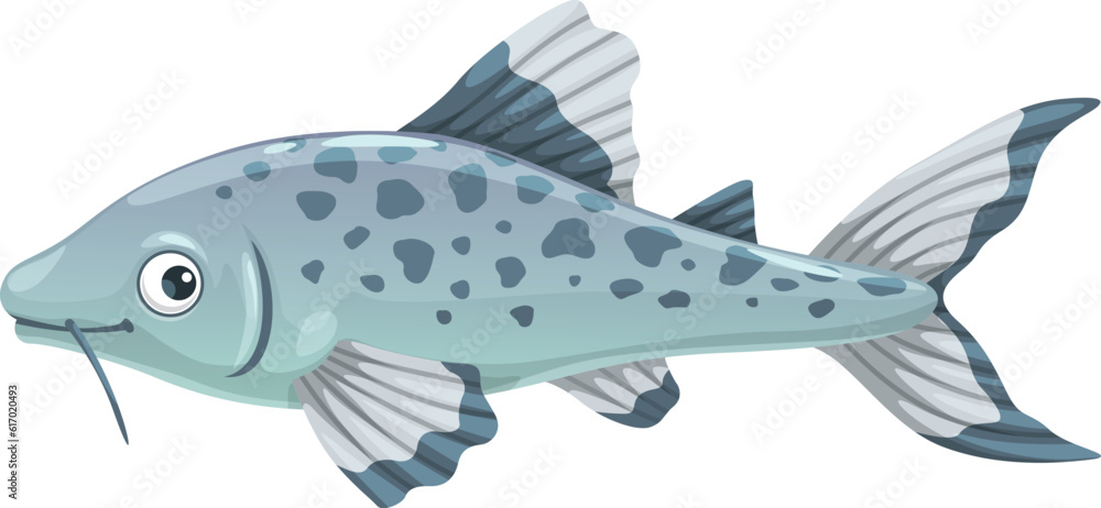 Aquarium catfish, isolated cartoon vector freshwater creature with sleek spotted body, whisker-like barbels and peaceful nature. Exotic and captivating phractocephalus hemioliopterus underwater animal