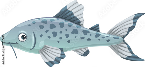 Aquarium catfish, isolated cartoon vector freshwater creature with sleek spotted body, whisker-like barbels and peaceful nature. Exotic and captivating phractocephalus hemioliopterus underwater animal