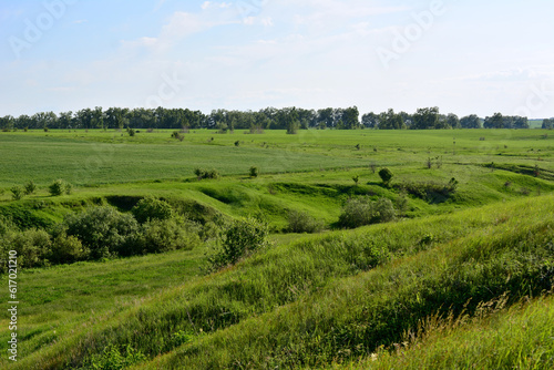 green hills with agricultural field and forest on horizon, copy space 