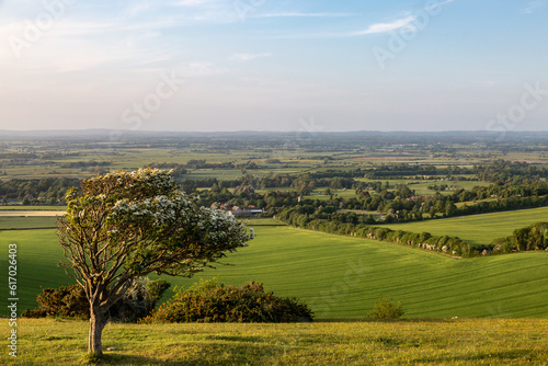 Konstfotografi A view over farmland and the Sussex countryside, from Firle Beacon