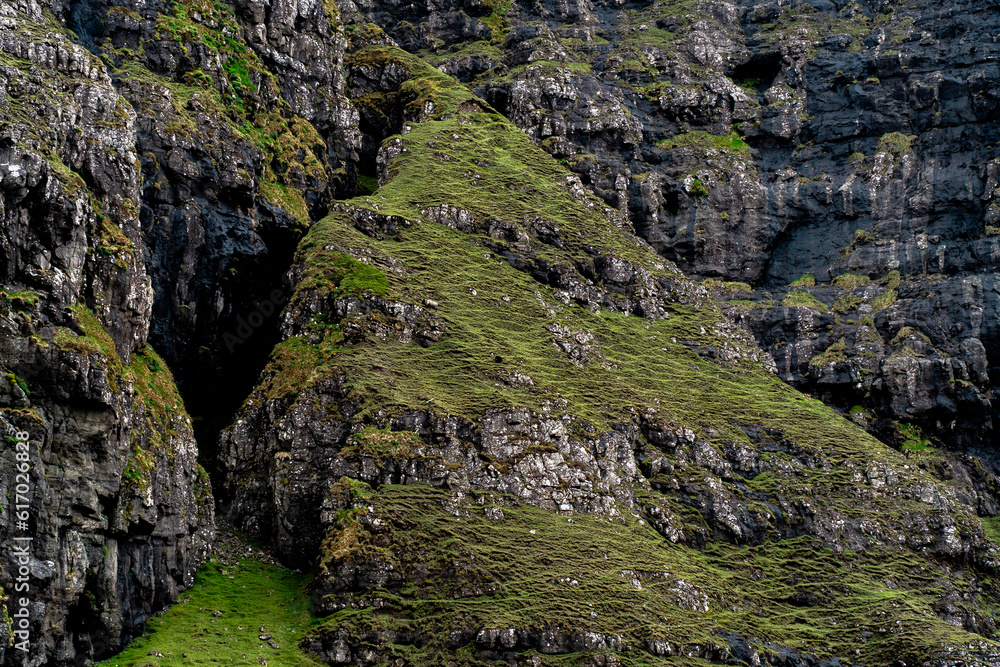 Grass on a mountain side
Grass on a mountain side