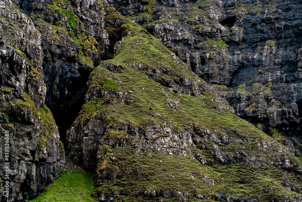 Grass on a mountain side
