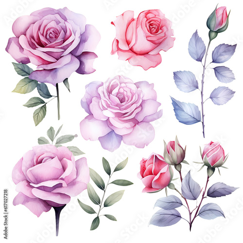 Watercolor elements blue, purple, pink roses, flowers, leaves, branches set collection for wedding stationary, invitation card, greeting, wallpaper, fashion, isolated on transparent. generative ai