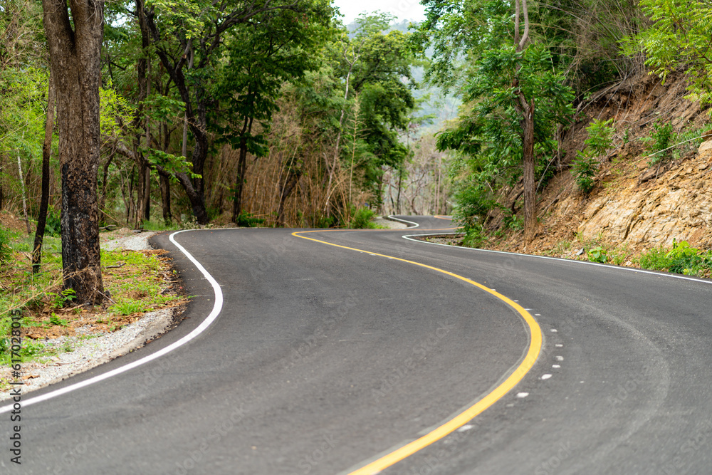 Fototapeta premium curvy road following a natural path