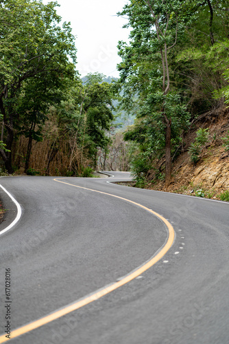 curvy road following a natural path