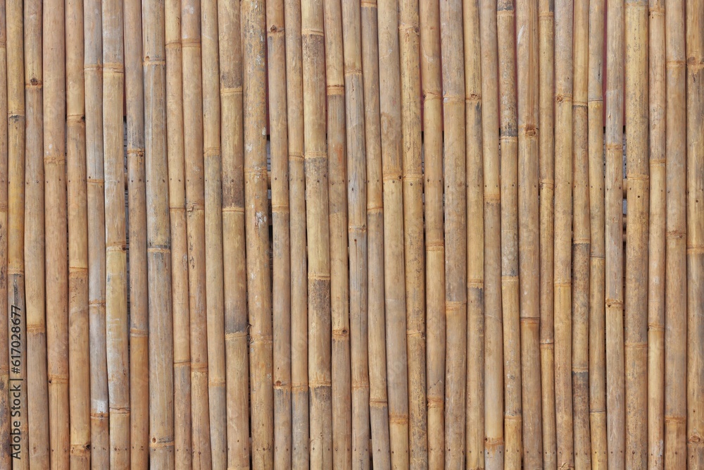 old brown tone bamboo plank fence texture for background old brown tone bamboo plank fence texture for background