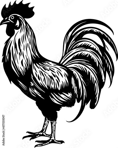 Illustration of rooster in black and white style.