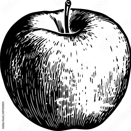 Illustration of an apple in engraving style.