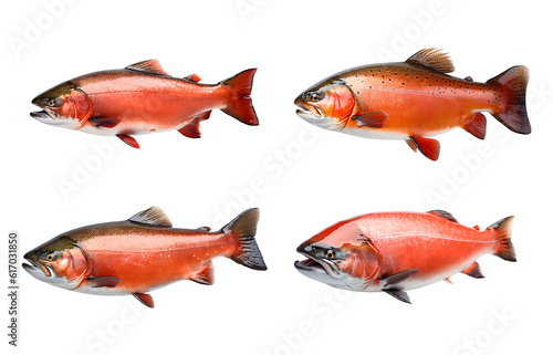 salmon fish isolated on transparent background, PNG file. Generative AI