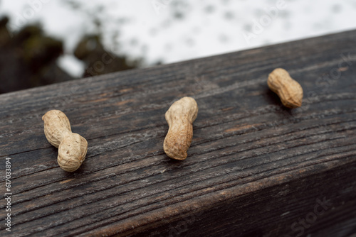 There are three losses on a wooden railing of a small wooden bridge on a hiking trail in the vicinity of the Bavarian city of Füssen in winter with snow