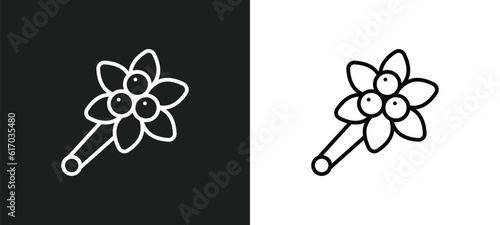 brooch line icon in white and black colors. brooch flat vector icon from brooch collection for web, mobile apps and ui.