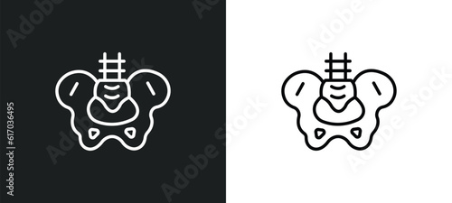 hip bone line icon in white and black colors. hip bone flat vector icon from hip bone collection for web, mobile apps and ui.