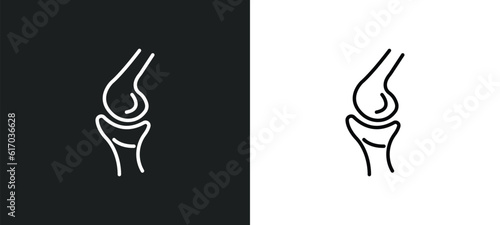 ball of the knee line icon in white and black colors. ball of the knee flat vector icon from ball of the knee collection for web, mobile apps and ui.