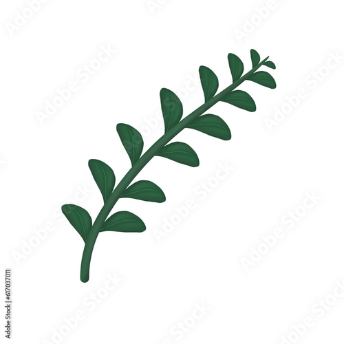 illustration set  icon set of green grass and leaves  banana leaves  shrubs  grape leaves  palm leaves  vines  ferns