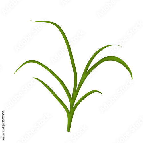 illustration set  icon set of green grass and leaves  banana leaves  shrubs  grape leaves  palm leaves  vines  ferns