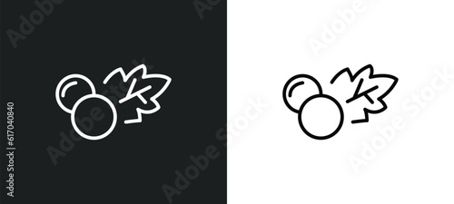 mustard line icon in white and black colors. mustard flat vector icon from mustard collection for web, mobile apps and ui.