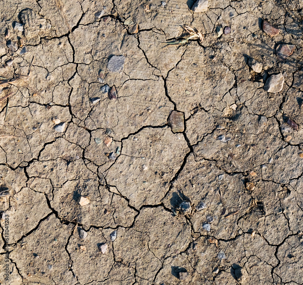 Soil cracked background. Top down shot of very dry earth with tears and stones. Water shortage concept. Global warming concept. Soil cracked background. Top down shot of very dry earth with tears and stones. Water shortage concept. Global warming concept.