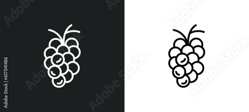 grapes line icon in white and black colors. grapes flat vector icon from grapes collection for web, mobile apps and ui.