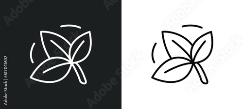 basil line icon in white and black colors. basil flat vector icon from basil collection for web, mobile apps and ui.