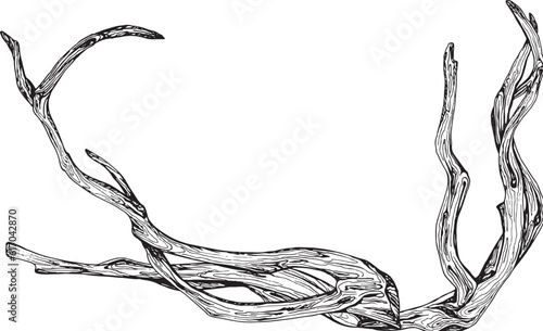 Illustration in black and white graphics driftwood, branch isolated. Hand-drawn translated into vector. Designed for design, printing on fabric, packaging, prints, stickers, posters, postcards