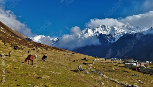 Langtang valley hiking