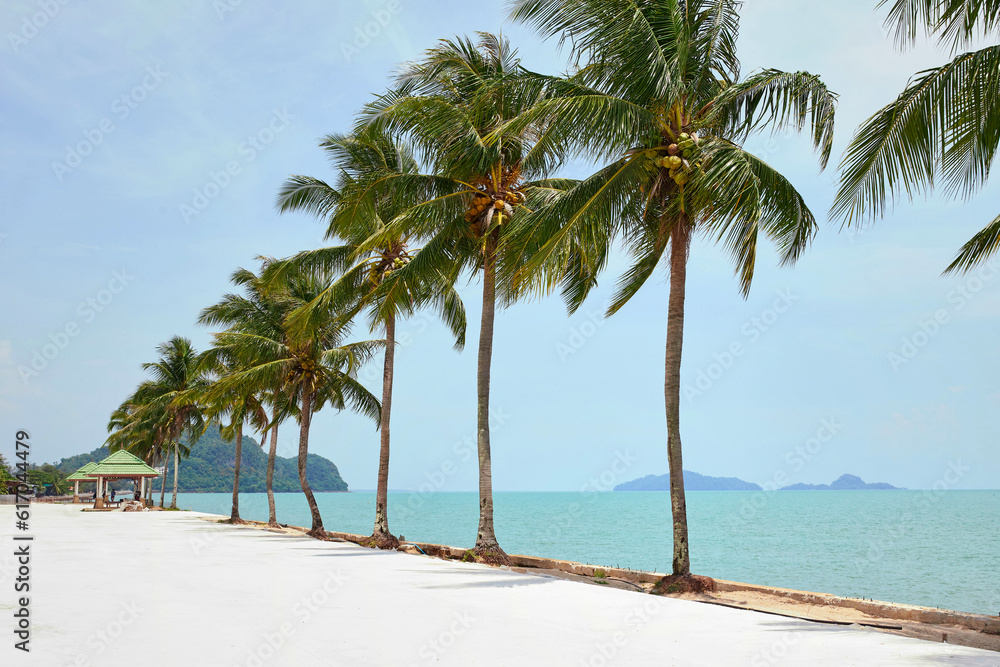 Beach with coconut trees and sea