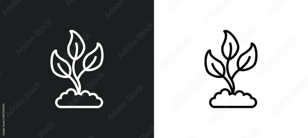 growing plant line icon in white and black colors. growing plant flat vector icon from growing plant collection for web, mobile apps and ui. growing plant line icon in white and black colors. growing plant flat vector icon from growing plant collection for web, mobile apps and ui.