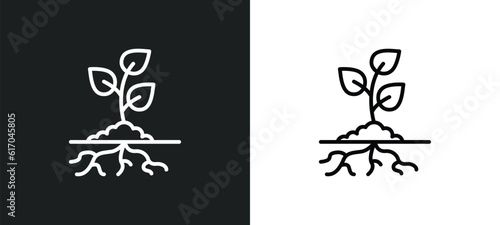 plant and root line icon in white and black colors. plant and root flat vector icon from plant root collection for web, mobile apps ui.