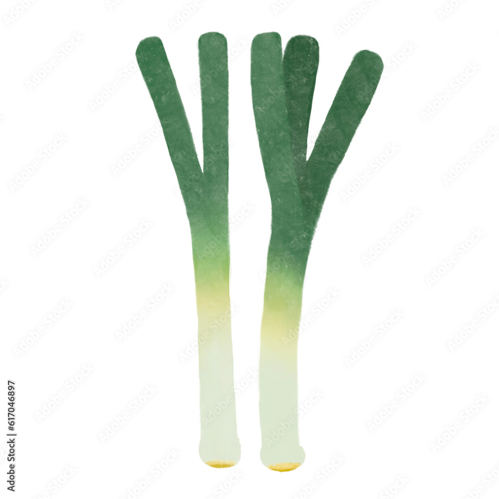 Japanese Bunching Onion Japanese Bunching Onion