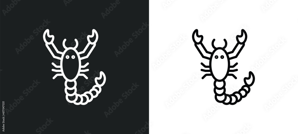 scorpion line icon in white and black colors. scorpion flat vector icon from scorpion collection for web, mobile apps and ui.