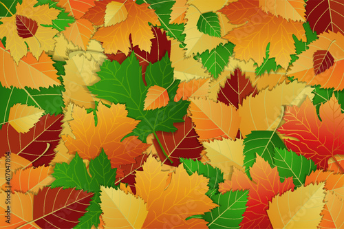 Vector background of colorful bright autumn leaves  red  yellow  orange and green colors. Maple and birch leaves