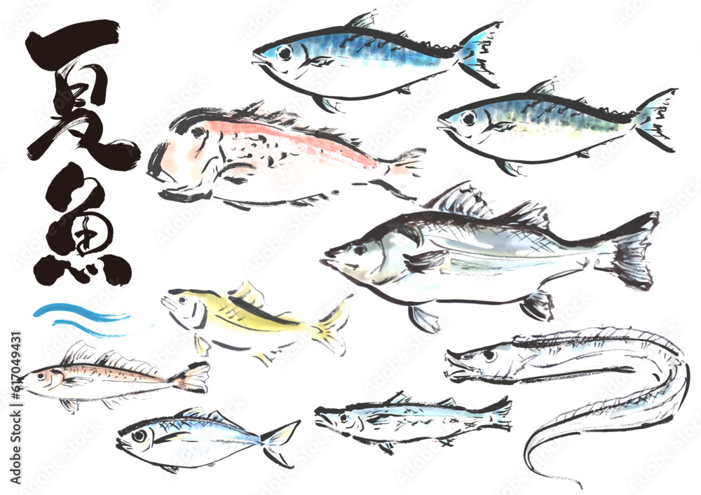 Fototapeta premium 手描き和風素材 夏が旬の魚セット