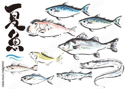 手描き和風素材　夏が旬の魚セット