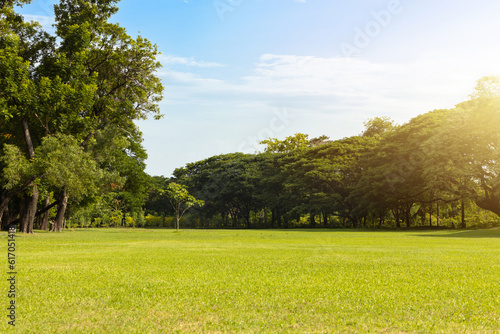 Scenic view of the park with green grass field in city and a cloudy blue sky background. Beautiful green park
