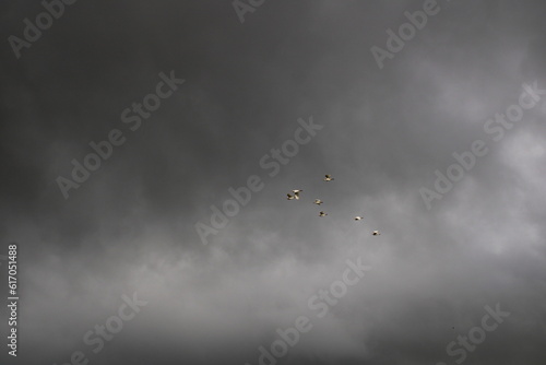 flying over the clouds