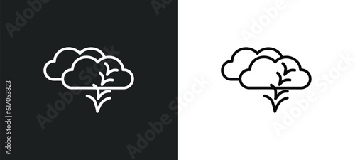 bird migration line icon in white and black colors. bird migration flat vector icon from bird migration collection for web, mobile apps and ui.