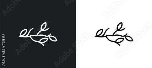 tree branch line icon in white and black colors. tree branch flat vector icon from tree branch collection for web, mobile apps and ui.