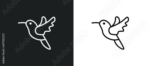 humming bird line icon in white and black colors. humming bird flat vector icon from humming bird collection for web  mobile apps and ui.