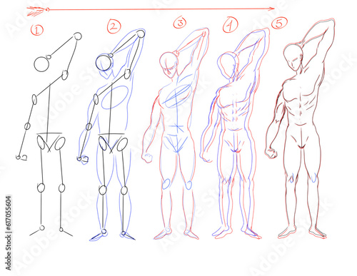 guide on how to draw a sketch of the human body standing on a white background