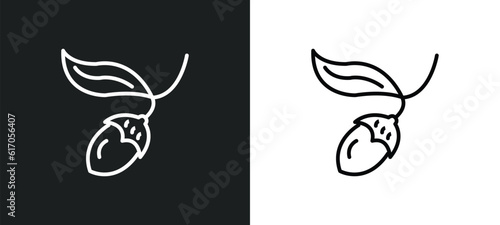 chestnut oak tree line icon in white and black colors. chestnut oak tree flat vector icon from chestnut oak tree collection for web, mobile apps and ui.