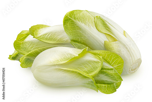 Fresh endive, green chicory salad isolated on white background photo