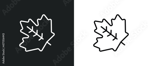 sugar maple tree line icon in white and black colors. sugar maple tree flat vector icon from sugar maple tree collection for web, mobile apps and ui.