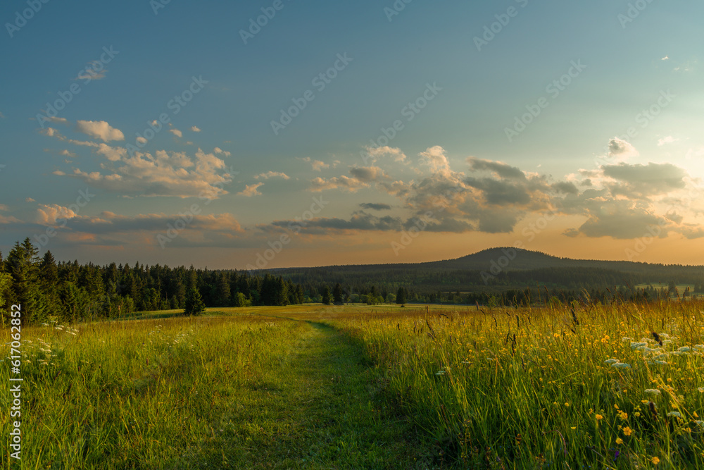 Color evening meadow near Bozi Dar village with sunshine