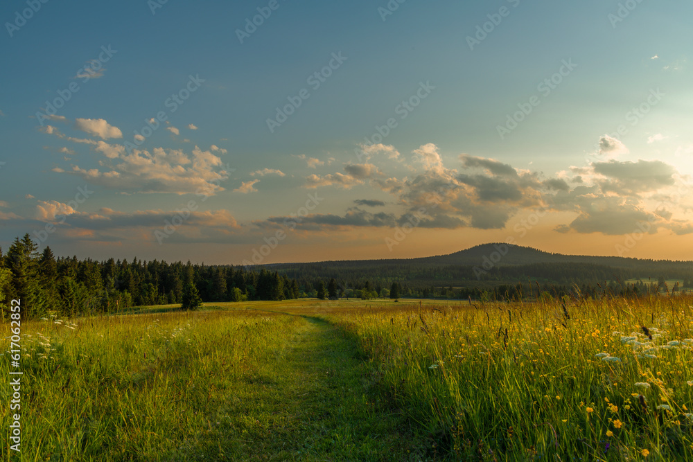 Obraz premium Color evening meadow near Bozi Dar village with sunshine