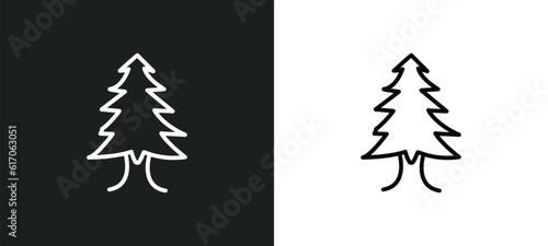 arborvitae tree line icon in white and black colors. arborvitae tree flat vector icon from arborvitae tree collection for web, mobile apps and ui.