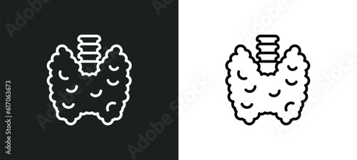 thyroid gland line icon in white and black colors. thyroid gland flat vector icon from thyroid gland collection for web, mobile apps and ui.