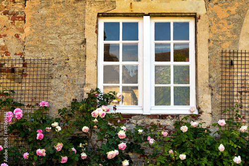 Window with Roses, Westerwinkel Castle, North Rhine-Westphalia, Germany  © Joachim Heller