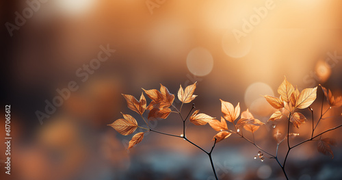 Beautiful autumn landscape with brown and orange colored trees and sunlight. Colorful foliage in the park. Falling leaves natural background in forest nature blurred bokeh copy space