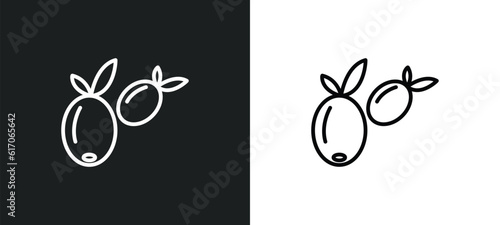 olive line icon in white and black colors. olive flat vector icon from olive collection for web, mobile apps and ui.